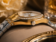 Le Cadran Elegance Nuit – Taşlı Yılanlı Model Gold & Gümüş Kadın Kol Saati — görsel 4